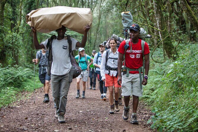 6-Day Guided Tour in Machame Route Mt Kilimanjaro - Introduction