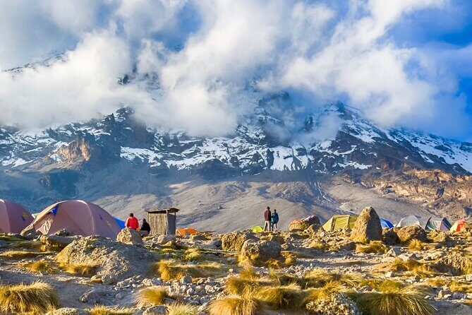 6 Day: Hiking Kilimanjaro via Machame Route - What Makes This Tour Stand Out?