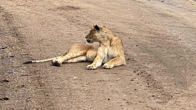 6-Day kenya safari to Amboseli and Tsavo west & East. - Who Is This Safari Best For?