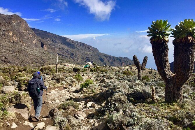 6-Day Kilimanjaro Climbing Via Machame Route - Final Thoughts
