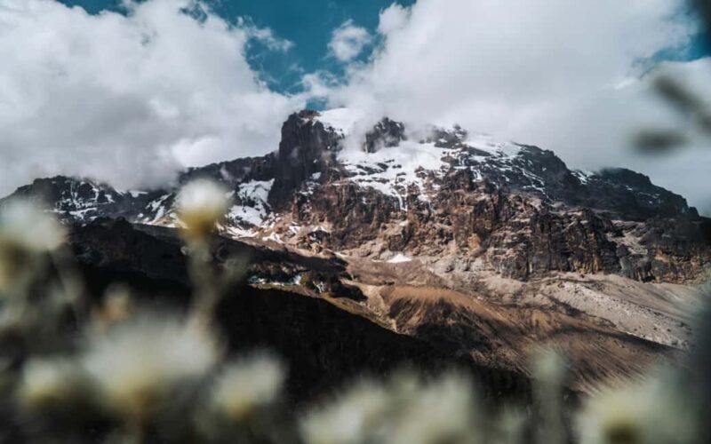 6 Day Kilimanjaro Machame Route - Final Thoughts