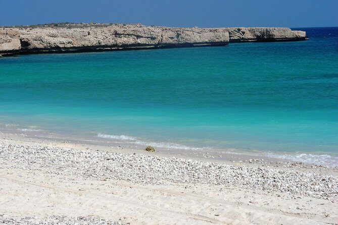 6-Day Latifa Package Tour - Day 1: From Bimmah Sinkhole to Turtle Encounters