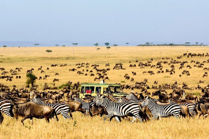 6 Day: Magnificent Wildlife Adventure - An In-Depth Look at the 6-Day Wildlife Safari