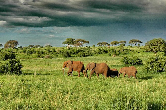 6 Day: Magnificent Wildlife Adventure - FAQ — Your Practical Questions Answered