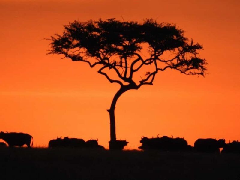 6-Day Majestic Tanzania - High - End - Key Points