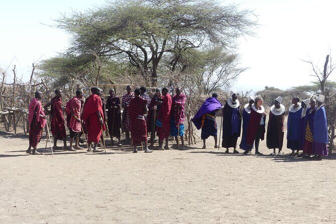 6-Day Northern Safari - What You Get: An Honest Breakdown of the Itinerary
