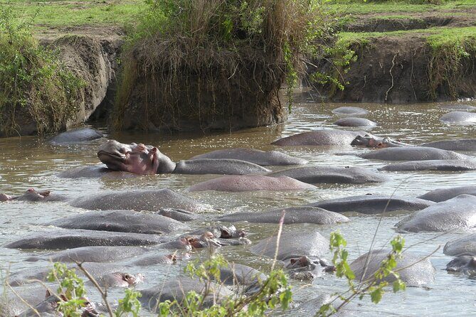 6-Day Northern Safari - Who Will Love This Safari?