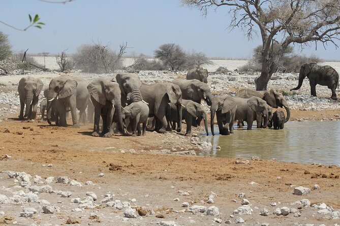 6 Day Private Guided Accommodated Namibian Loop - An In-Depth Look at the Itinerary