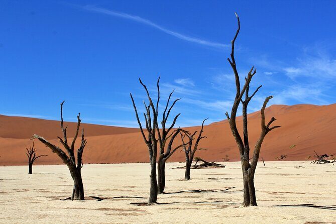 6 Day Private Guided Accommodated Namibian Loop - Who Should Consider This Tour?