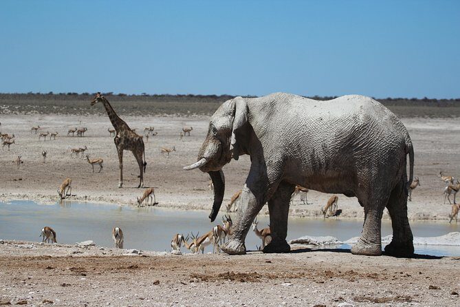 6 Day Private Guided Accommodated Namibian Loop - Final Thoughts