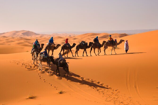 6-Day Private Morocco Cultural Tour From Casablanca To Marrakech - An In-Depth Look at the 6-Day Moroccan Adventure