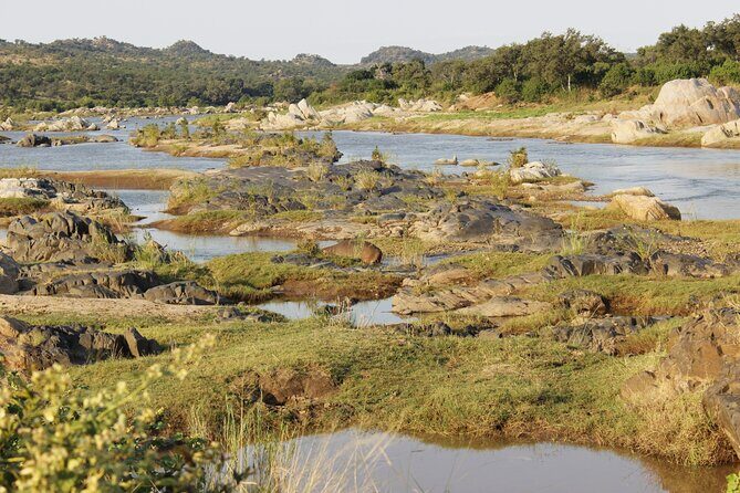 6-Day Private South to North Kruger National Park Tour - Day 3: Up Close and Personal with the Big 5 at Satara