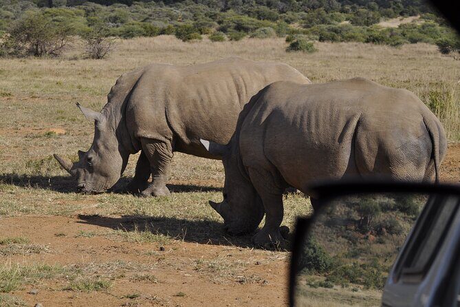 6-Day Private South to North Kruger National Park Tour - What Makes This Tour Stand Out
