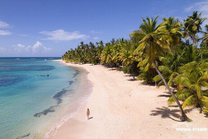 6-Day Private Tour between Bayahibe and Samana Bay - The Itinerary in Detail