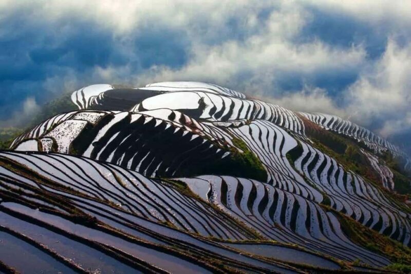 6-Day Private Tour: Guilin Terraces, Fenghuang & Zhangjiajie - Zhangjiajie National Forest Park and Yuangjiajie