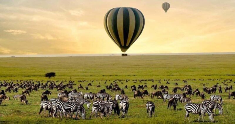 6-Day Private Wildlife and Cultural Tourism Safari - Final Thoughts: Who Will Love This Tour?