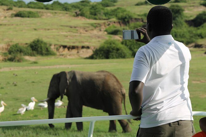 6-Day Queen Elizabeth and Mburo Luxury Safari - Introduction: Why This Tour Stands Out