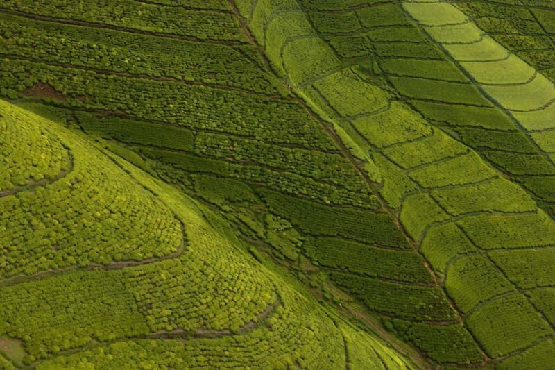 6-Day Rwanda-Uganda Gorilla & Chimp trekking Safari - Key Points