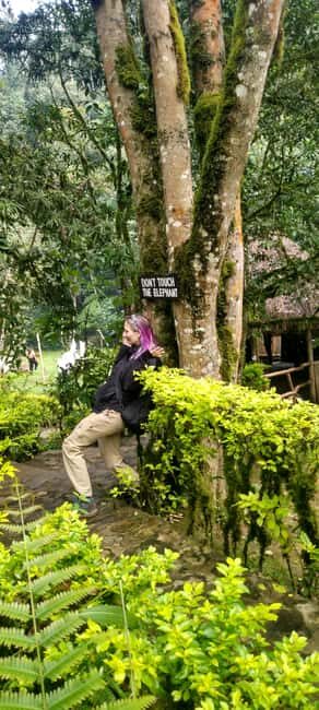 6-Day Rwanda-Uganda Gorilla & Chimp trekking Safari - Day 5: Gorilla Trekking and Lake Bunyonyi