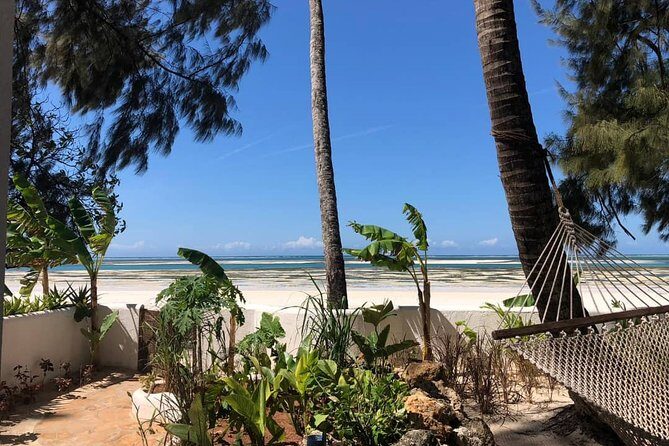 6 Day Selous Game reserve and Kilwa Beach+Snorkeling+Boat safari+Historical site - Key Points