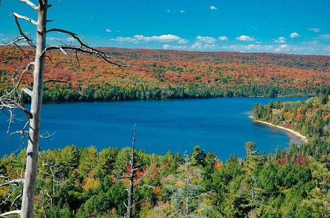 6-Day Small Group Tour:Toronto,Montreal,Niagara&Ontario Lakes - Final Thoughts
