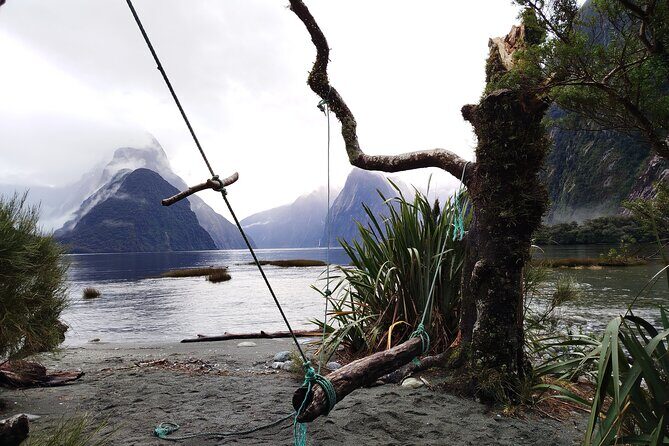 6 Day South Island New Zealand Private Tour from Auckland - Day 5: Milford or Doubtful Sound—Fjordland’s Best Kept Secrets