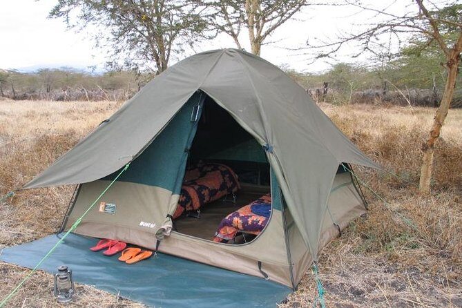6-Day Tanzania Camping Safari: Lake Manyara, Serengeti, Ngorongoro Cater and Tarangire National Park from Arusha - The Value Proposition