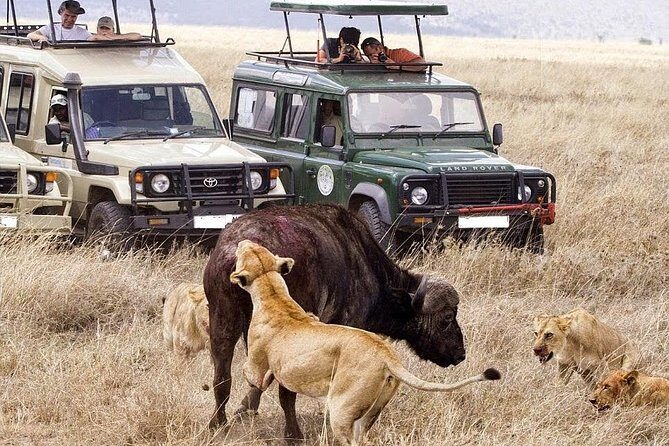 6-Day Tanzania Camping Safari: Lake Manyara, Serengeti, Ngorongoro Cater and Tarangire National Park from Arusha - FAQ