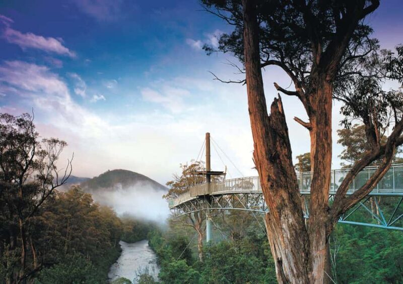 6 Day Tassie Tour Bundle: Island Icons - Day 5: History and Underground Adventures