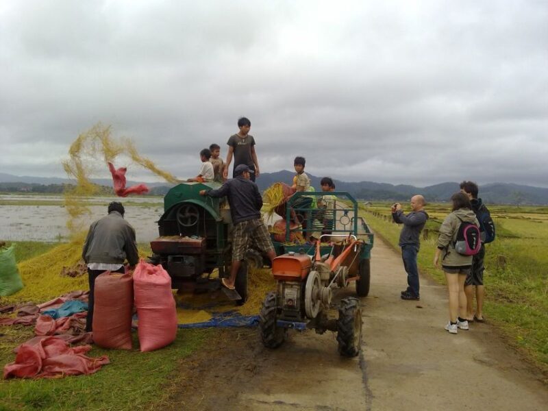 6-day Tour from Hoi An to Da Lat via Ho Chi Minh Trail - The Real Value of This Experience