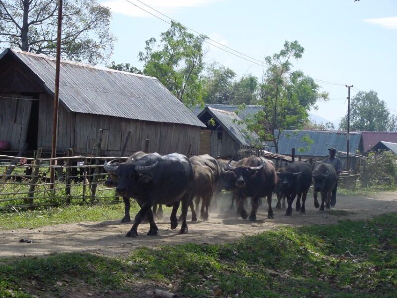 6-day Tour from Hoi An to Da Lat via Ho Chi Minh Trail - Final Summary
