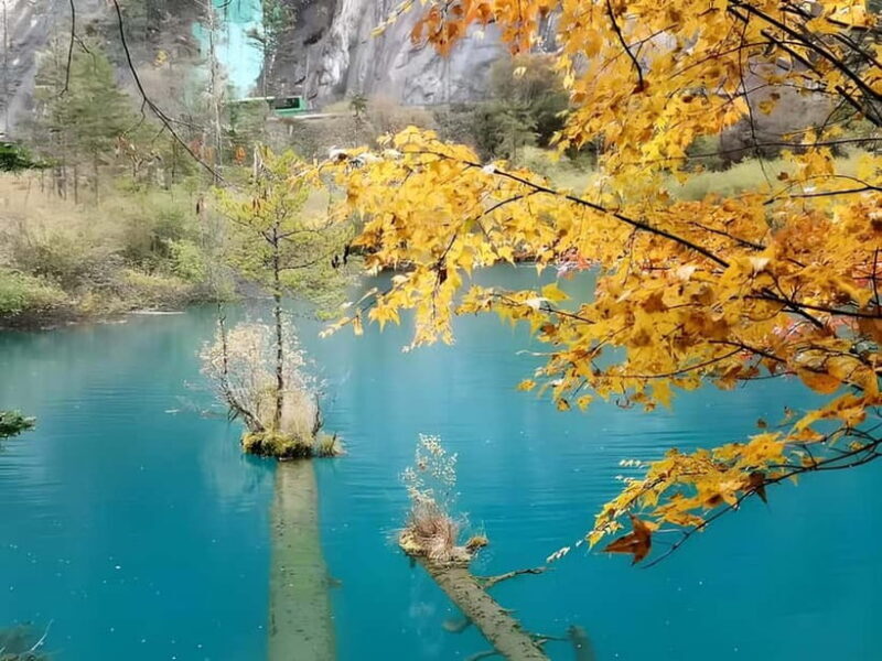6 Day Tour Including Chengdu, Jiuzhaigou And Dagu Glacier - The Experience: What We Loved and Consider