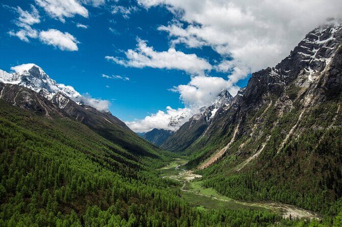 6-Day Tour to Uncover the Wonders of Western Sichuan - Starting the Adventure: Wolong Giant Panda Nature Reserve