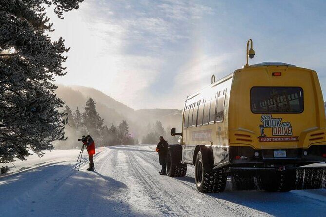 6 Day Winter Wonderland Tour in Yellowstone National Park - Day 6: Dog Sledding into Big Sky Country