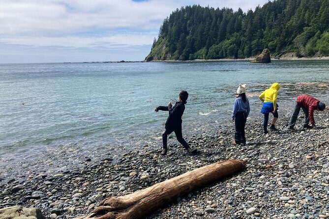 6-Day Young Adventurers Summer Camp in Olympic National Park - Key Points