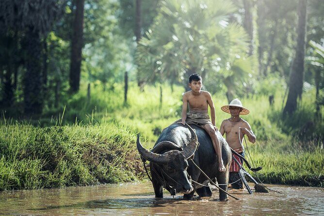 6 Days 5 Night Ha Long Bay, Ninh Binh and Sapa Tour - Discovering the 6 Days 5 Nights Ha Long Bay, Ninh Binh, and Sapa Tour