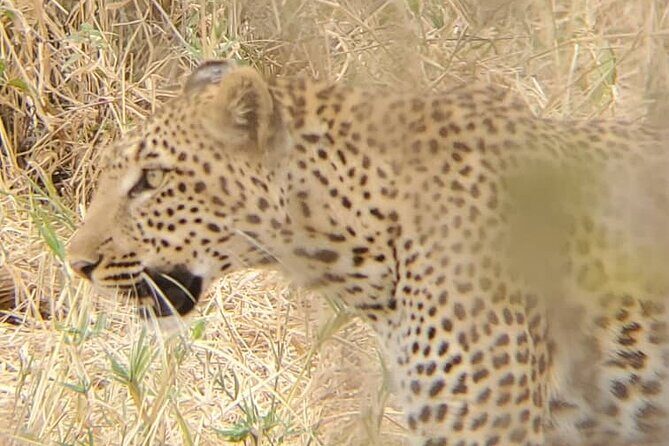 6 Days 5 Night Safari - What Makes This Safari Stand Out?