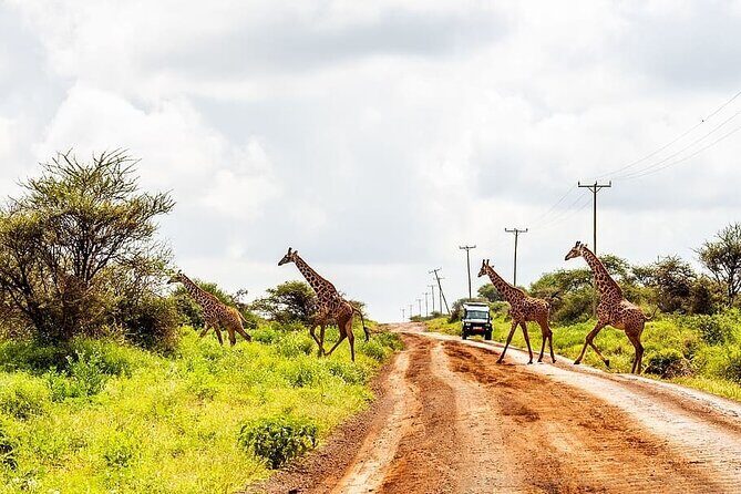 6 Days /5 Nights Adventure in Masai Mara,Lake Nakuru, Amboseli - FAQ