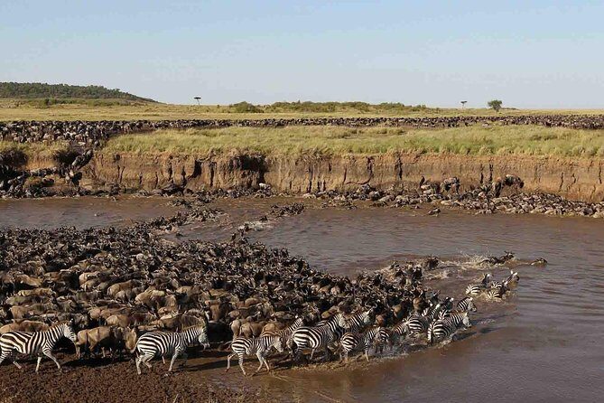 6 Days / 5 Nights Join group safari - The Experience in Detail