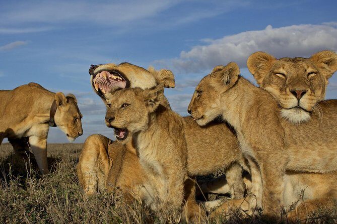 6 Days / 5 Nights Join group safari - The Cost and Value