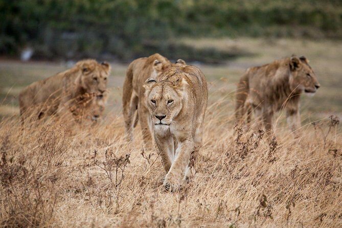 6 Days / 5 Nights Join group safari - Who Will Love This Tour?