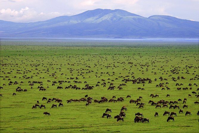 6 Days / 5 Nights Join group safari - FAQ