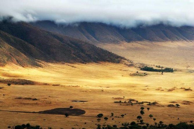 6 Days 5 Nights lodge safari Tarangire, Manyara, Serengeti & Ngorongoro Crater - What Makes This Safari Unique?