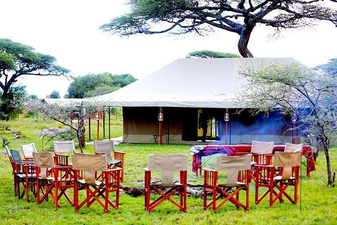 6 Days 5 Nights lodge safari Tarangire, Manyara, Serengeti & Ngorongoro Crater - FAQ