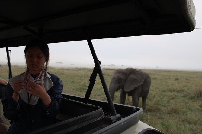 6 Days Adventure Towards Serengeti, Ngorongoro and Tarangire - Analyzing the Itinerary