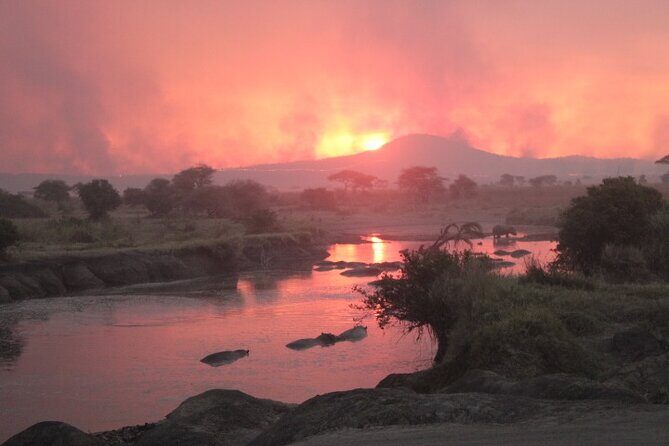 6 Days Adventure Towards Serengeti, Ngorongoro and Tarangire - What Could Be Better