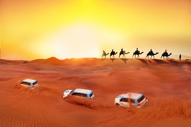 6 Days and 5 Nights Dubai and Abu Dhabi Tour - Who Should Consider This Tour?