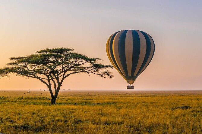 6 Days best adventure kilimanjaro ,Tarangire ,Serengeti &Ngorongoro crater - The Experience of a Lifetime