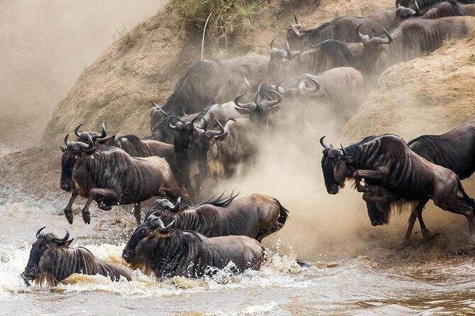 6 Days best adventure kilimanjaro ,Tarangire ,Serengeti &Ngorongoro crater - FAQ