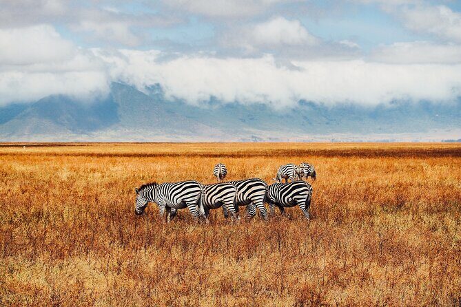 6 Days best of kenya safaris Maasai Mara-Lake Nakuru Amboseli National Park - Frequently Asked Questions
